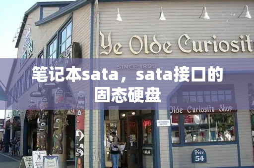 笔记本sata，sata接口的固态硬盘-第1张图片-星选测评