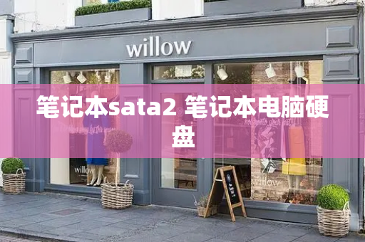 笔记本sata2 笔记本电脑硬盘