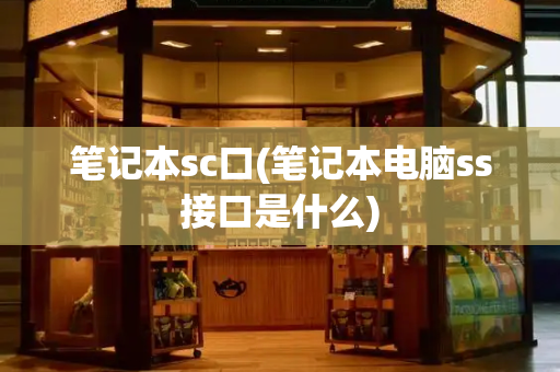 笔记本sc口(笔记本电脑ss接口是什么)-第1张图片-星选测评