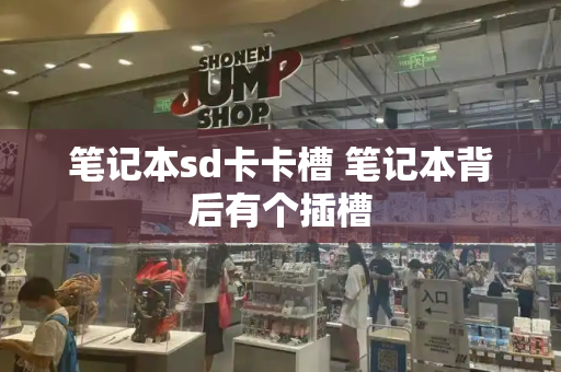 笔记本sd卡卡槽 笔记本背后有个插槽