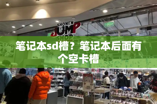 笔记本sd槽？笔记本后面有个空卡槽