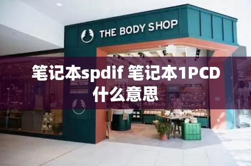 笔记本spdif 笔记本1PCD什么意思