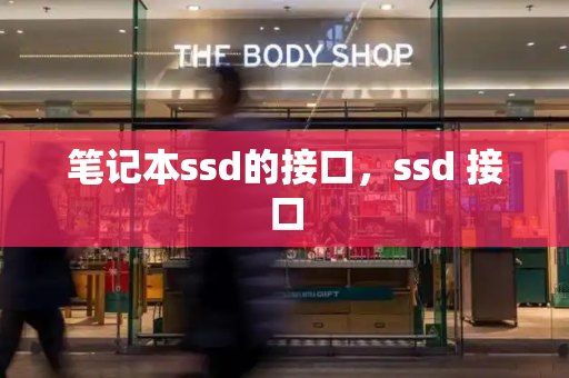 笔记本ssd的接口，ssd 接口-第1张图片-星选测评