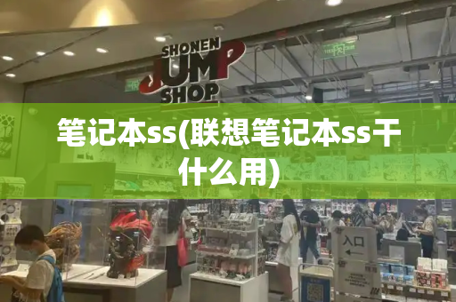 笔记本ss(联想笔记本ss干什么用)