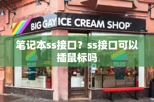笔记本ss接口？ss接口可以插鼠标吗-第1张图片-星选测评