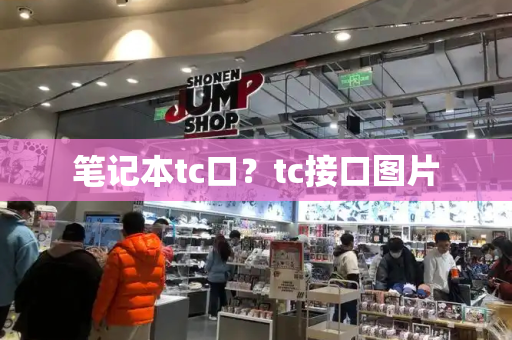 笔记本tc口？tc接口图片