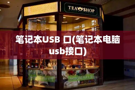 笔记本USB 口(笔记本电脑usb接口)-第1张图片-星选测评