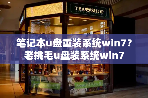 笔记本u盘重装系统win7？老挑毛u盘装系统win7-第1张图片-星选测评