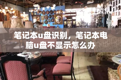 笔记本u盘识别，笔记本电脑u盘不显示怎么办-第1张图片-星选测评