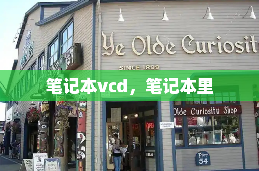 笔记本vcd，笔记本里