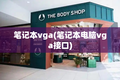 笔记本vga(笔记本电脑vga接口)-第1张图片-星选测评