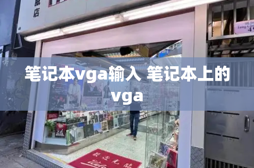 笔记本vga输入 笔记本上的vga