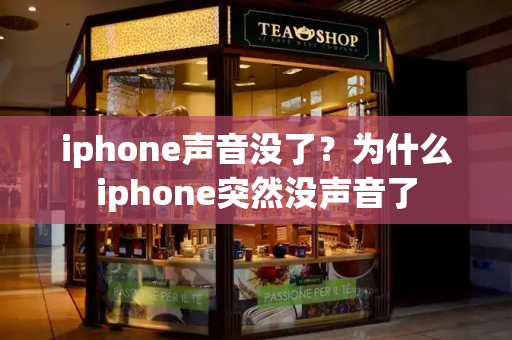 iphone声音没了？为什么iphone突然没声音了