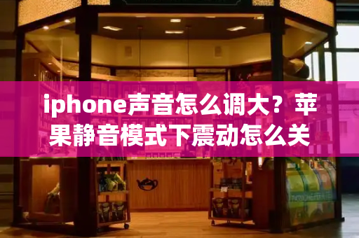 iphone声音怎么调大？苹果静音模式下震动怎么关