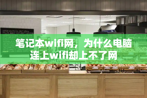 笔记本wifi网，为什么电脑连上wifi却上不了网