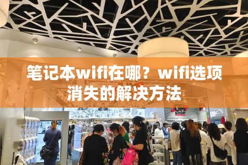 笔记本wifi在哪？wifi选项消失的解决方法
