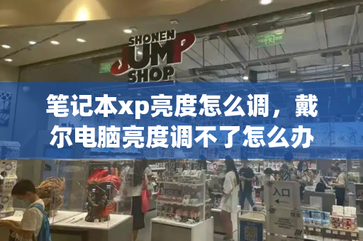 笔记本xp亮度怎么调，戴尔电脑亮度调不了怎么办-第1张图片-星选测评