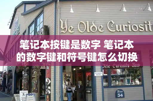笔记本按键是数字 笔记本的数字键和符号键怎么切换-第1张图片-星选测评