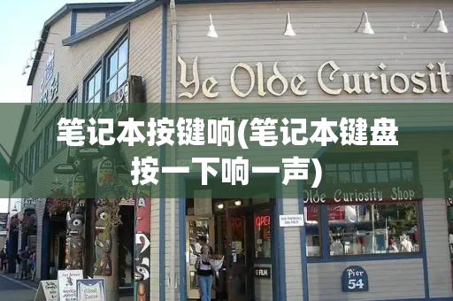 笔记本按键响(笔记本键盘按一下响一声)-第1张图片-星选测评