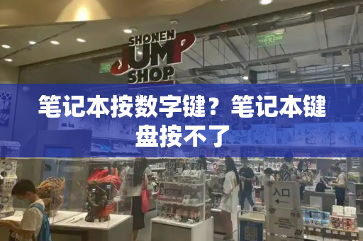 笔记本按数字键？笔记本键盘按不了