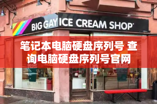 笔记本电脑硬盘序列号 查询电脑硬盘序列号官网
