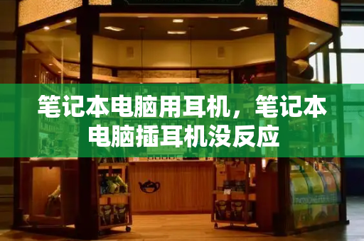 笔记本电脑用耳机，笔记本电脑插耳机没反应