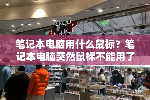 笔记本电脑用什么鼠标？笔记本电脑突然鼠标不能用了-第1张图片-星选测评