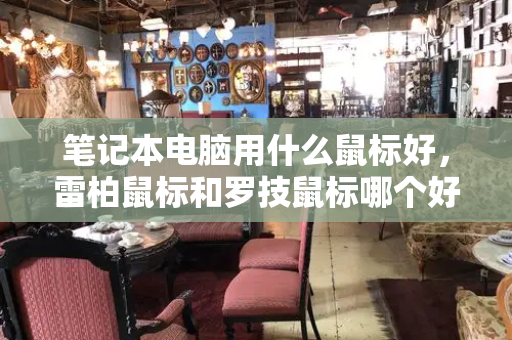 笔记本电脑用什么鼠标好，雷柏鼠标和罗技鼠标哪个好