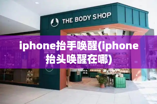 iphone抬手唤醒(iphone抬头唤醒在哪)-第1张图片-星选测评