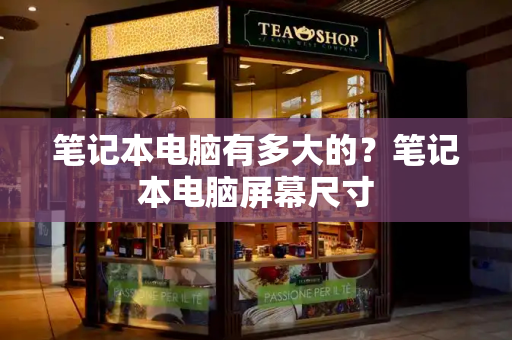 笔记本电脑有多大的？笔记本电脑屏幕尺寸-第1张图片-星选测评