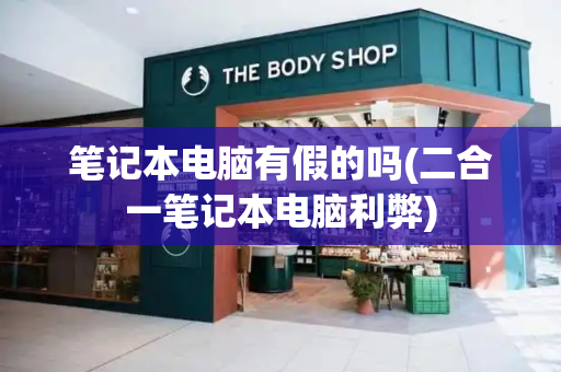 笔记本电脑有假的吗(二合一笔记本电脑利弊)