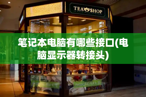 笔记本电脑有哪些接口(电脑显示器转接头)-第1张图片-星选测评