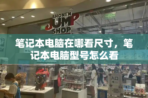 笔记本电脑在哪看尺寸，笔记本电脑型号怎么看-第1张图片-星选测评