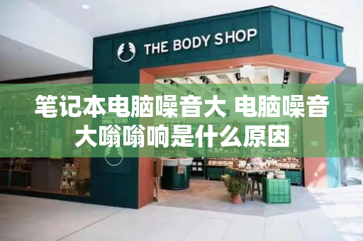笔记本电脑噪音大 电脑噪音大嗡嗡响是什么原因