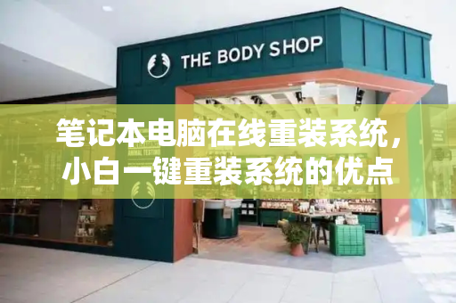 笔记本电脑在线重装系统，小白一键重装系统的优点