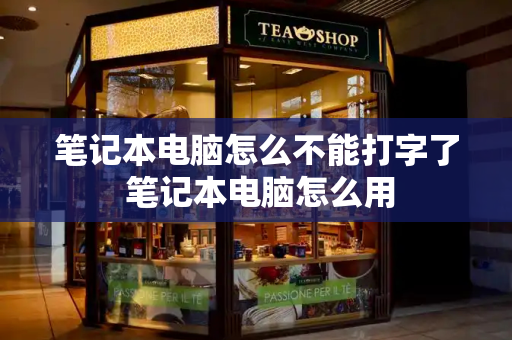 笔记本电脑怎么不能打字了 笔记本电脑怎么用-第1张图片-星选测评