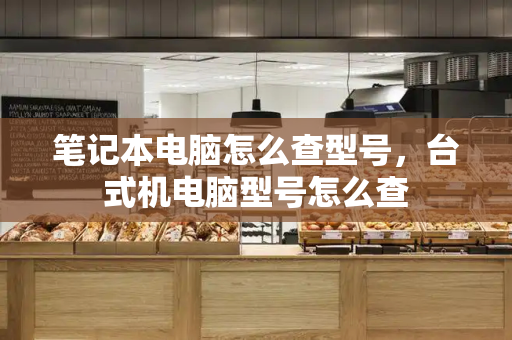 笔记本电脑怎么查型号，台式机电脑型号怎么查-第1张图片-星选测评