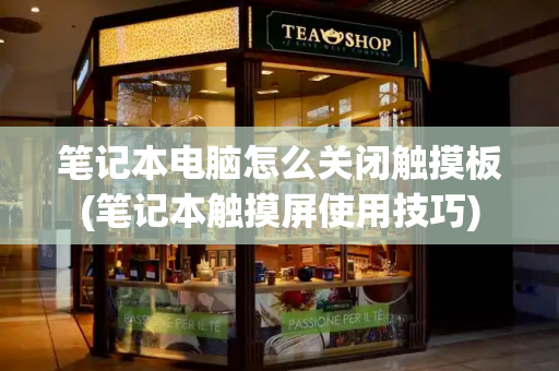 笔记本电脑怎么关闭触摸板(笔记本触摸屏使用技巧)