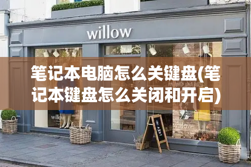 笔记本电脑怎么关键盘(笔记本键盘怎么关闭和开启)