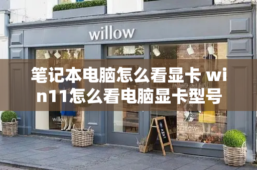 笔记本电脑怎么看显卡 win11怎么看电脑显卡型号-第1张图片-星选测评