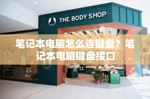 笔记本电脑怎么连键盘？笔记本电脑键盘接口-第1张图片-星选测评