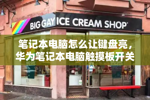 笔记本电脑怎么让键盘亮，华为笔记本电脑触摸板开关在哪-第1张图片-星选测评