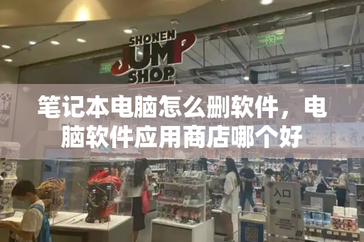 笔记本电脑怎么删软件，电脑软件应用商店哪个好