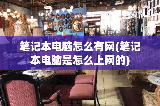 笔记本电脑怎么有网(笔记本电脑是怎么上网的)-第1张图片-星选测评