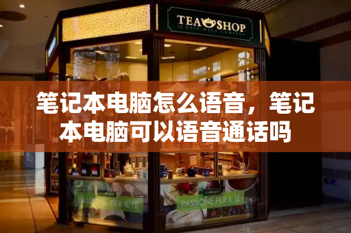 笔记本电脑怎么语音，笔记本电脑可以语音通话吗-第1张图片-星选测评