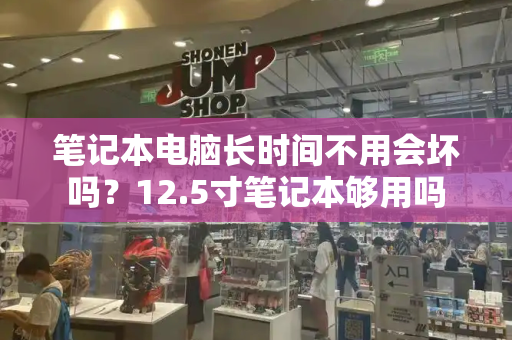 笔记本电脑长时间不用会坏吗？12.5寸笔记本够用吗