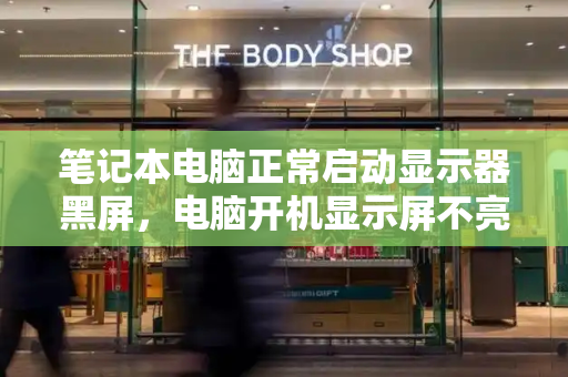 笔记本电脑正常启动显示器黑屏，电脑开机显示屏不亮怎么办-第1张图片-星选测评