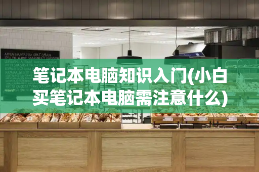 笔记本电脑知识入门(小白买笔记本电脑需注意什么)-第1张图片-星选测评