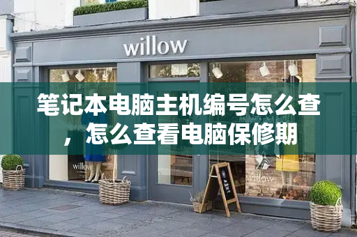 笔记本电脑主机编号怎么查，怎么查看电脑保修期-第1张图片-星选测评