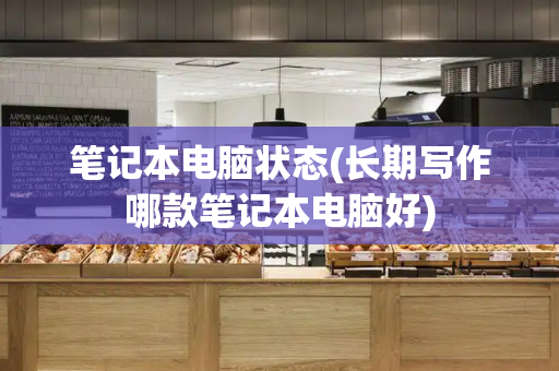 笔记本电脑状态(长期写作哪款笔记本电脑好)-第1张图片-星选测评